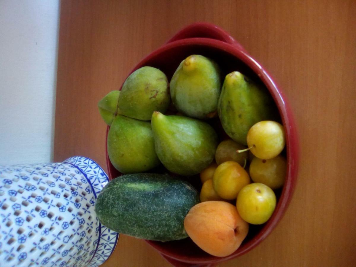 לינה וארוחת בוקר Magliano Casa Te La Bradamante מראה חיצוני תמונה