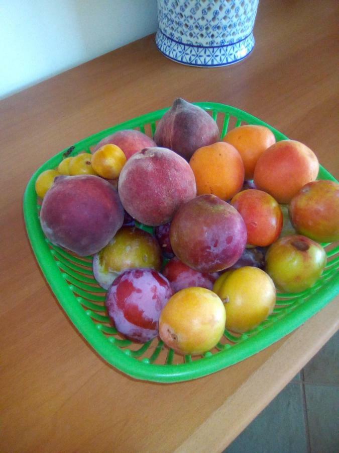 לינה וארוחת בוקר Magliano Casa Te La Bradamante מראה חיצוני תמונה