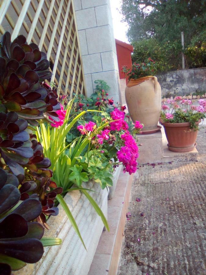 לינה וארוחת בוקר Magliano Casa Te La Bradamante מראה חיצוני תמונה