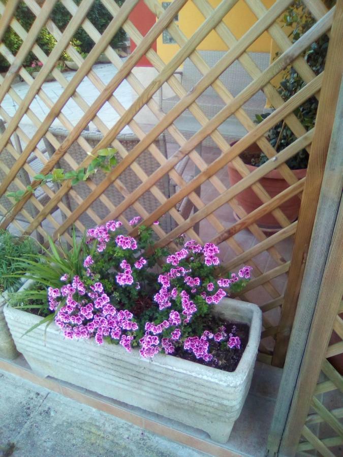 לינה וארוחת בוקר Magliano Casa Te La Bradamante מראה חיצוני תמונה
