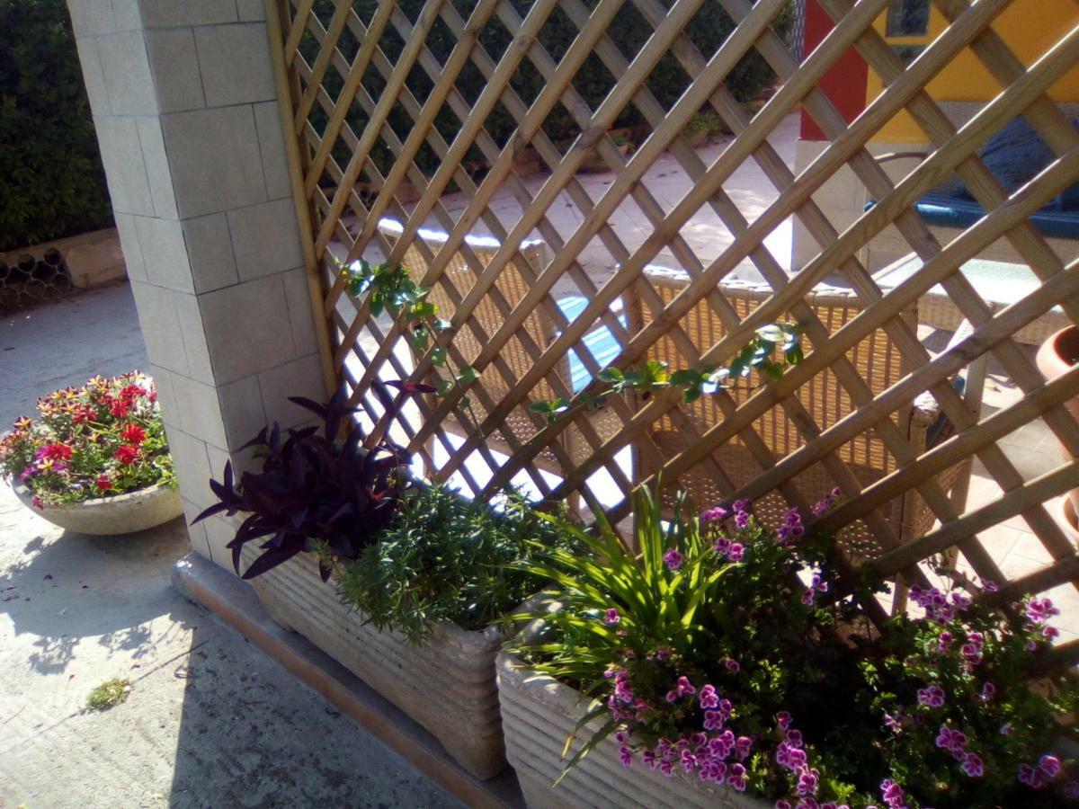 לינה וארוחת בוקר Magliano Casa Te La Bradamante מראה חיצוני תמונה